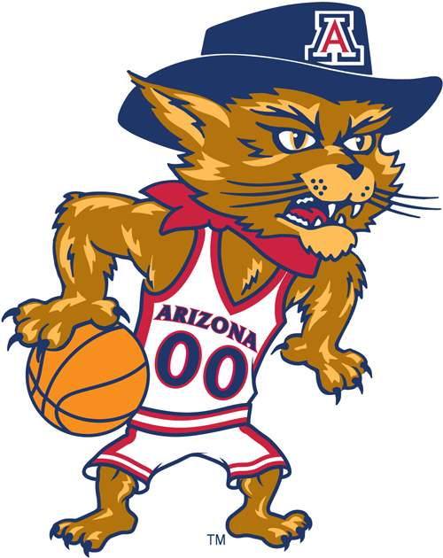 Arizona Wildcats 2003-Pres Mascot Logo v5 iron on transfers for T-shirts